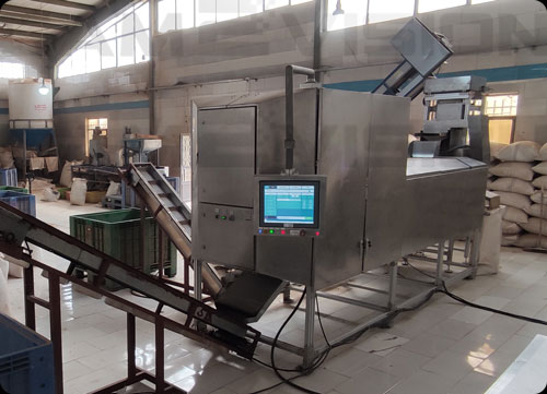 Pistachio-and-raisin-sorting-factory