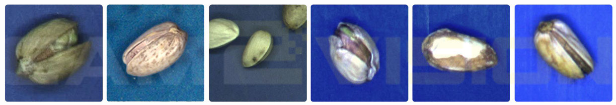 Pistachio-sorter-defects-of-pistachios