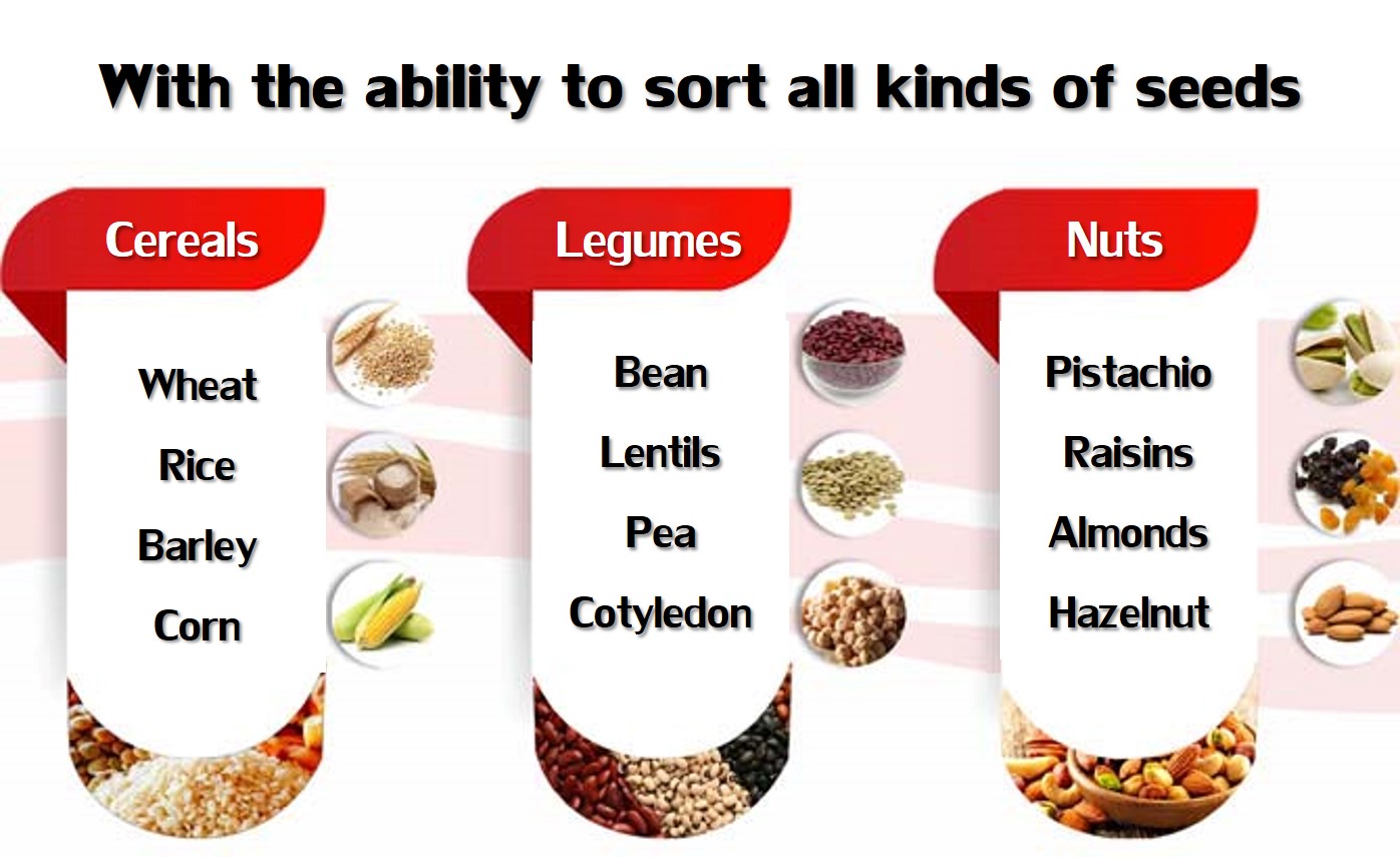 sort all kinds of seeds